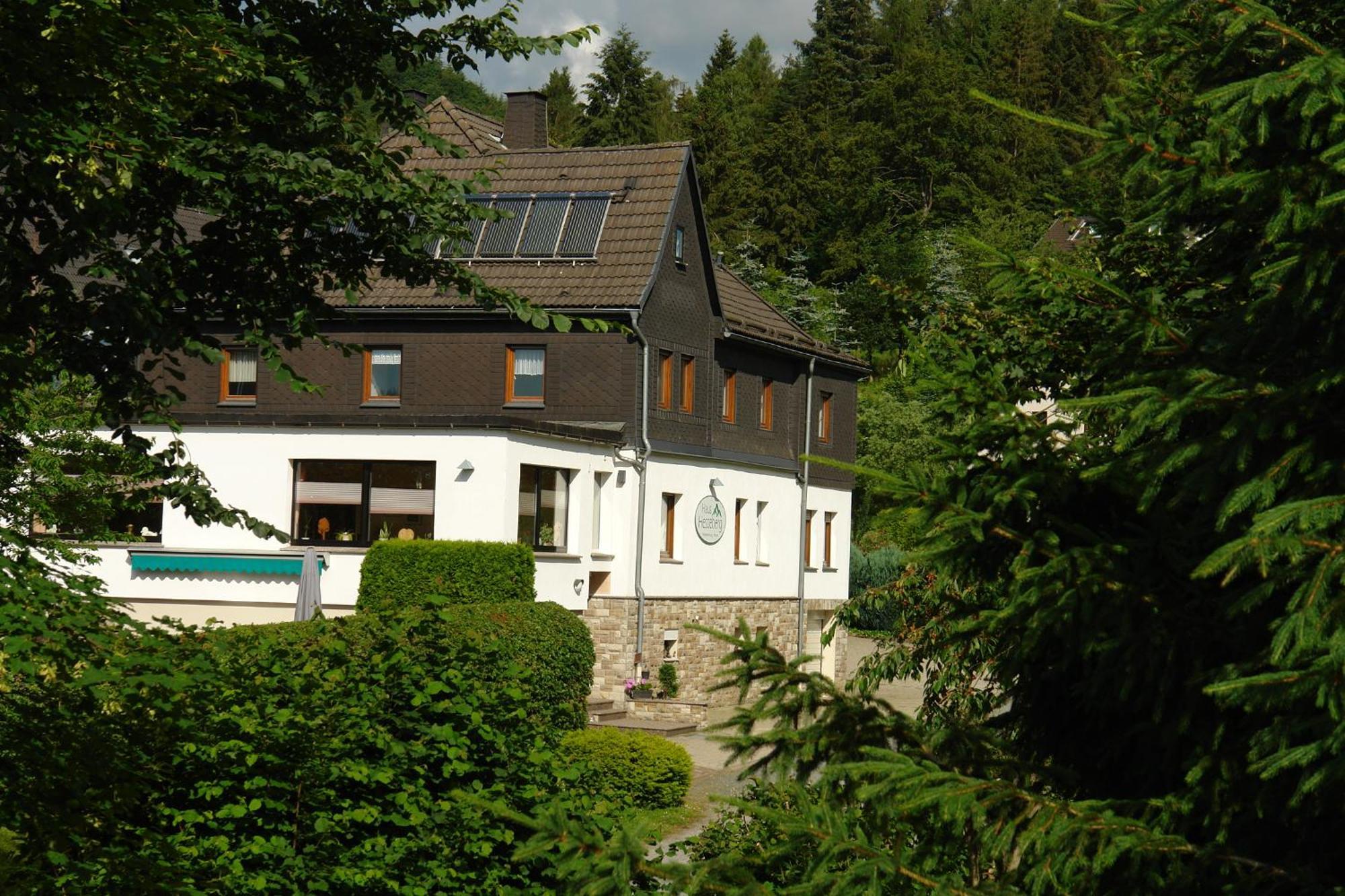 Hotel Haus Hesseberg Medebach Exterior foto